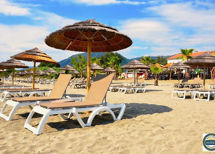 On The Sea - Moriani *